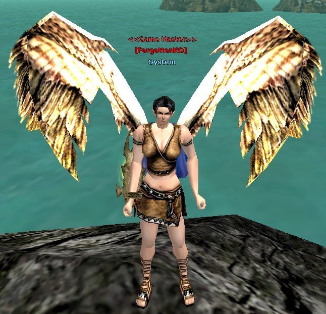 wing of gold eagle.jpeg