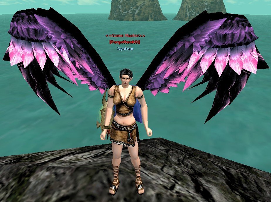 wings of hero10.jpeg