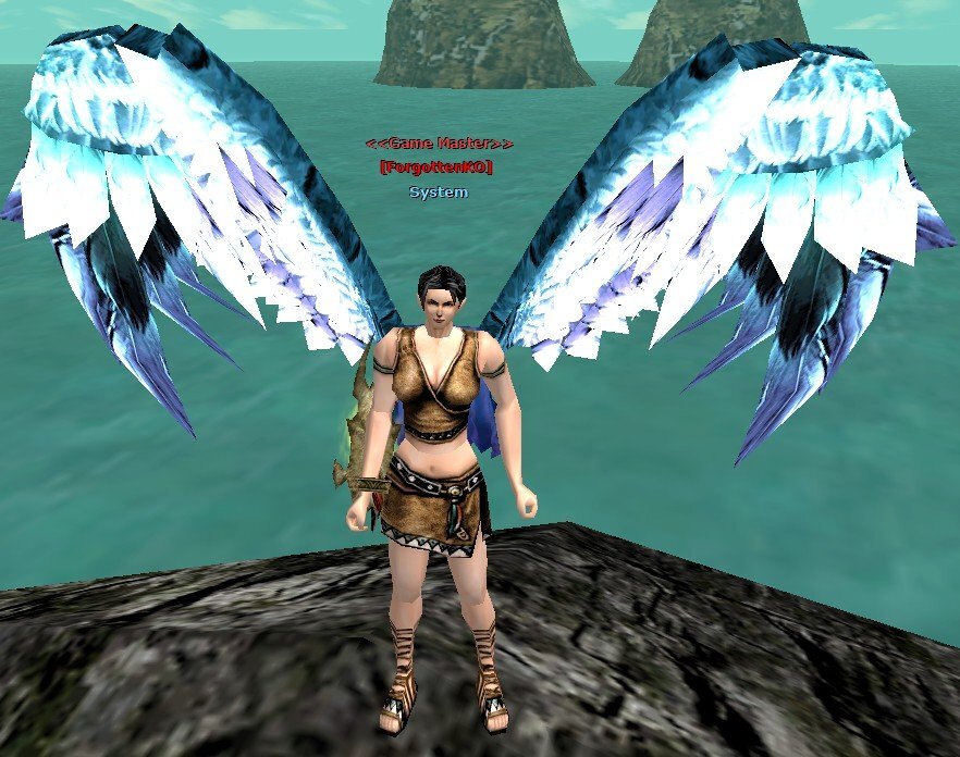 wings of hero [11].jpeg